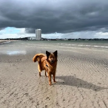 Ostsee Oase Poetenitz * Dassow